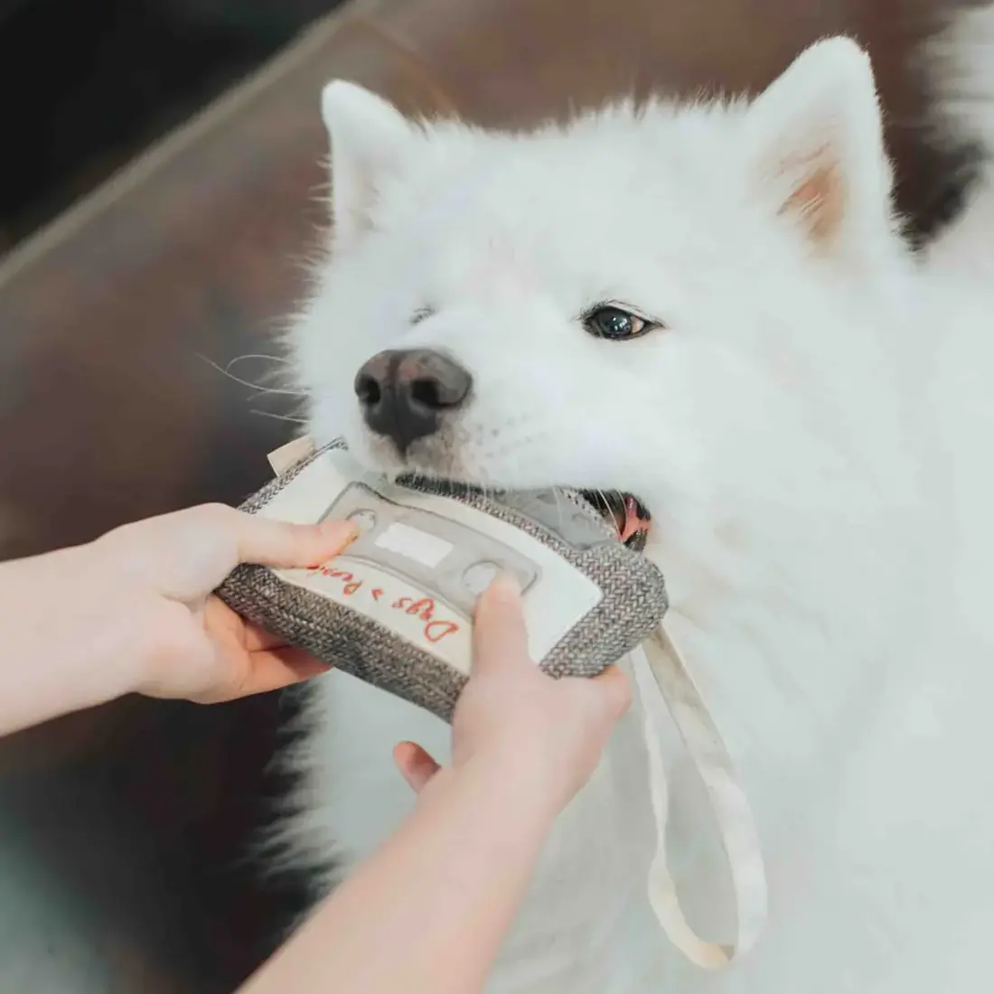 Lambwolf Collective – Cassette