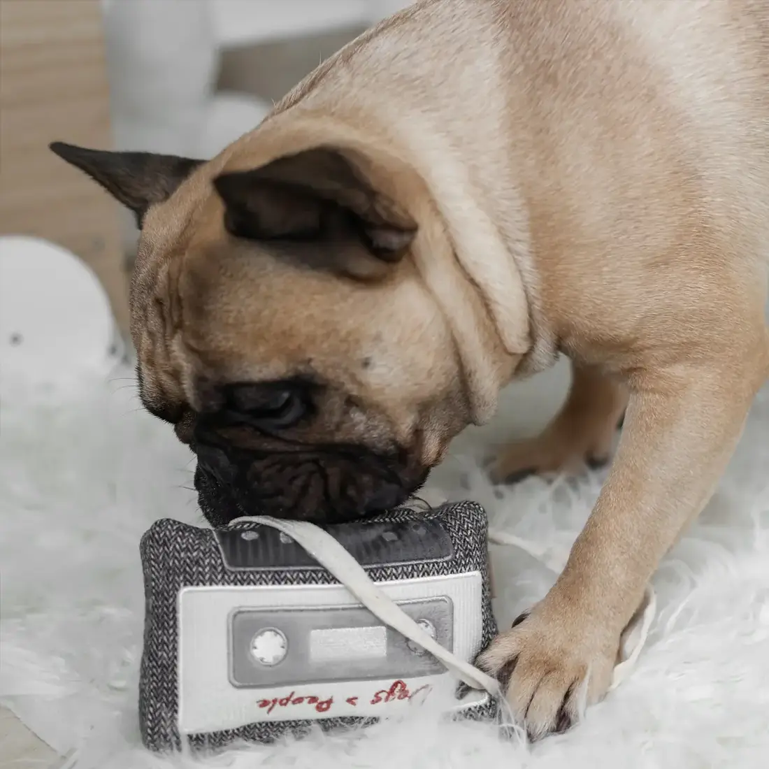 Lambwolf Collective – Cassette