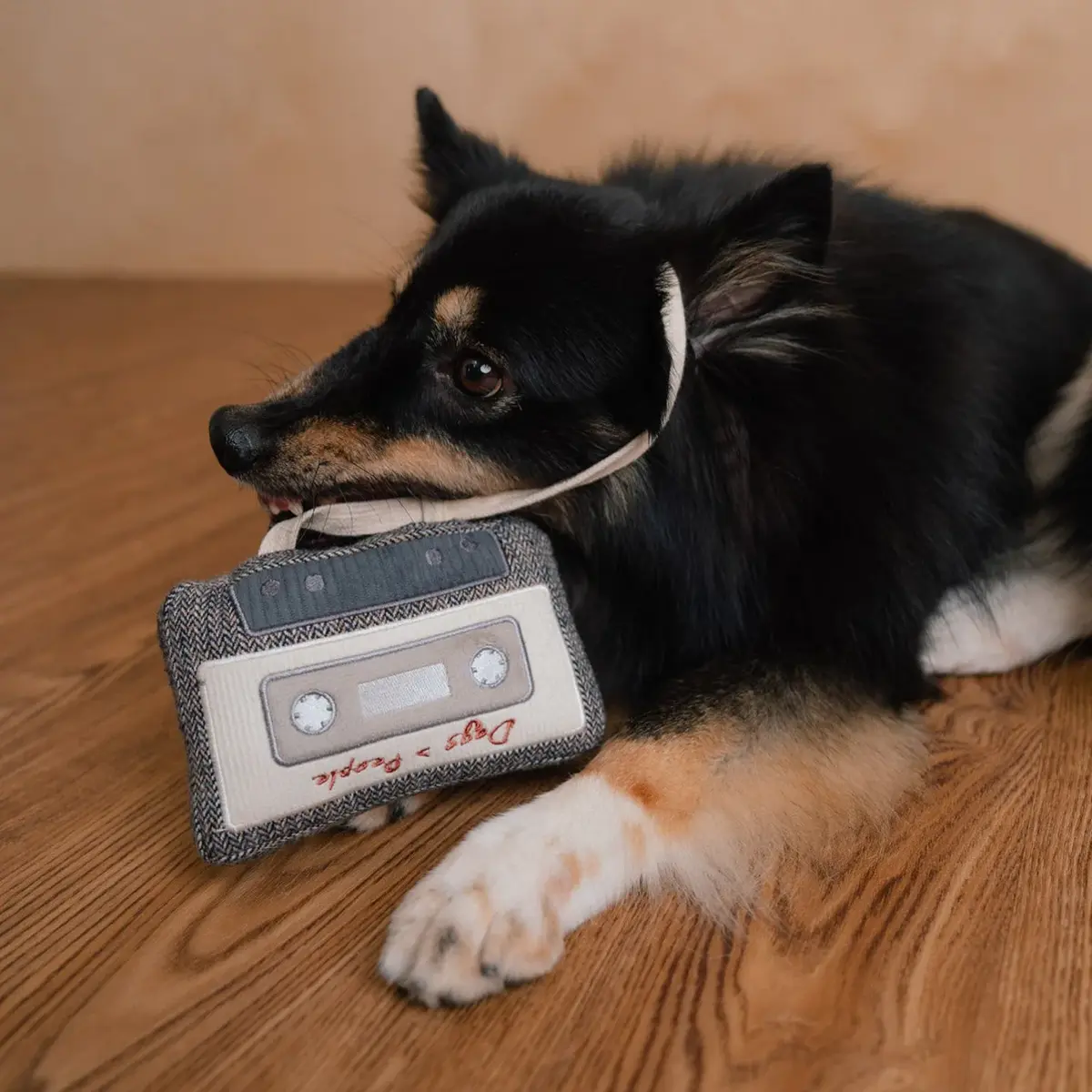 Lambwolf Collective – Cassette