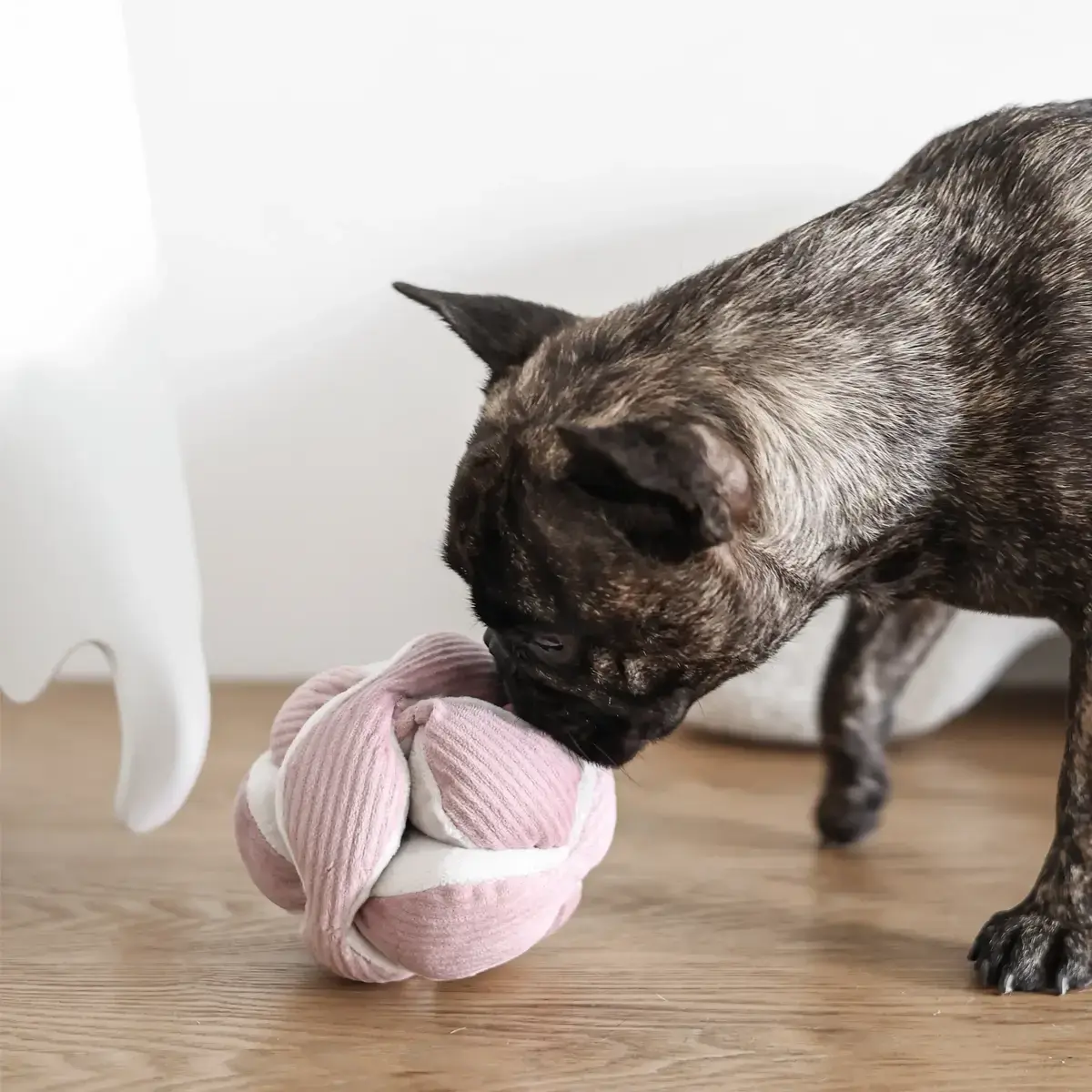 Lambwolf Collective – Monti Small