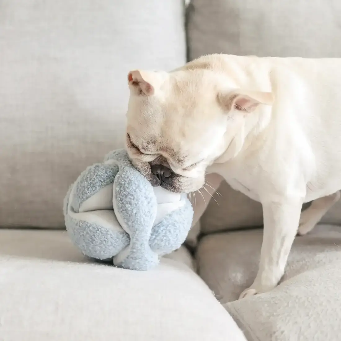 Lambwolf Collective – Monti