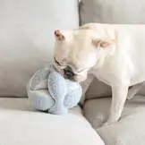 Lambwolf Collective – Monti