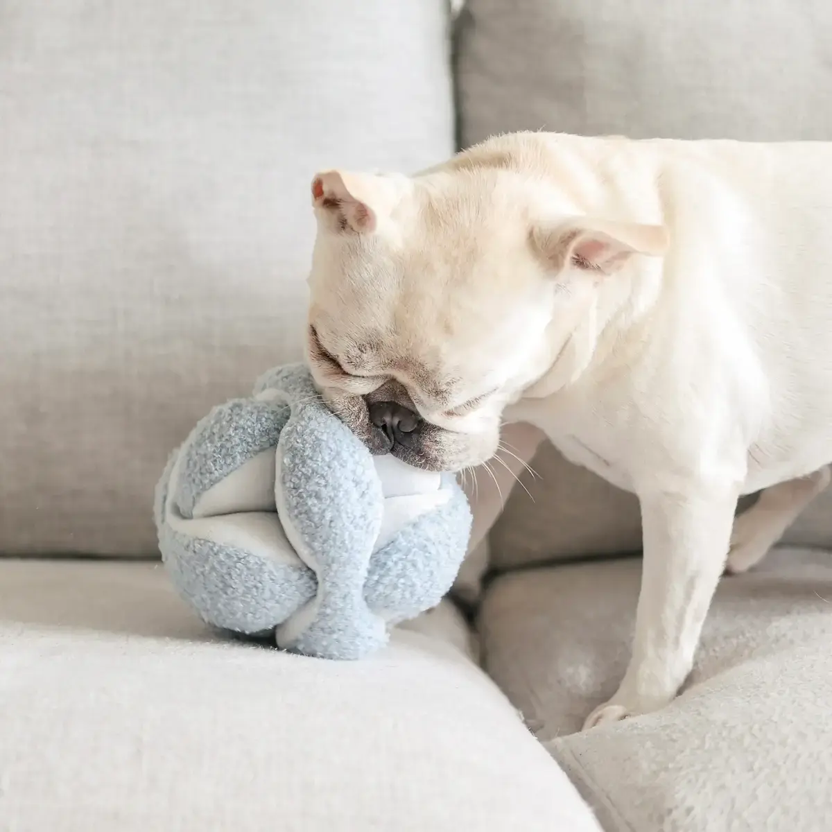 Lambwolf Collective – Monti