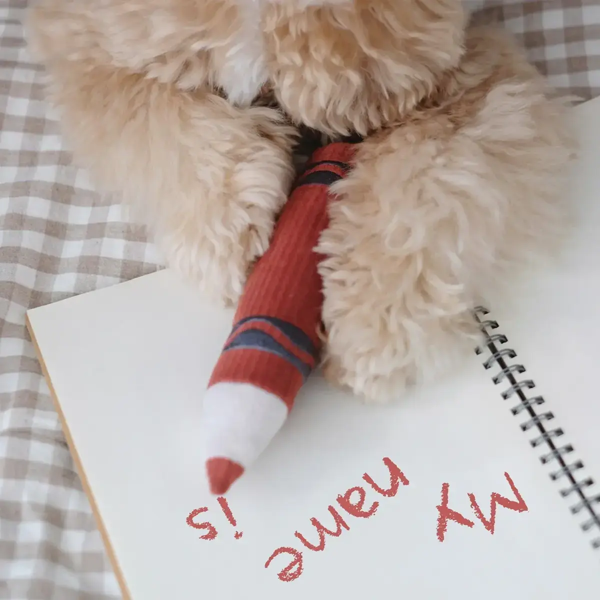 Lambwolf Collective – Crayons