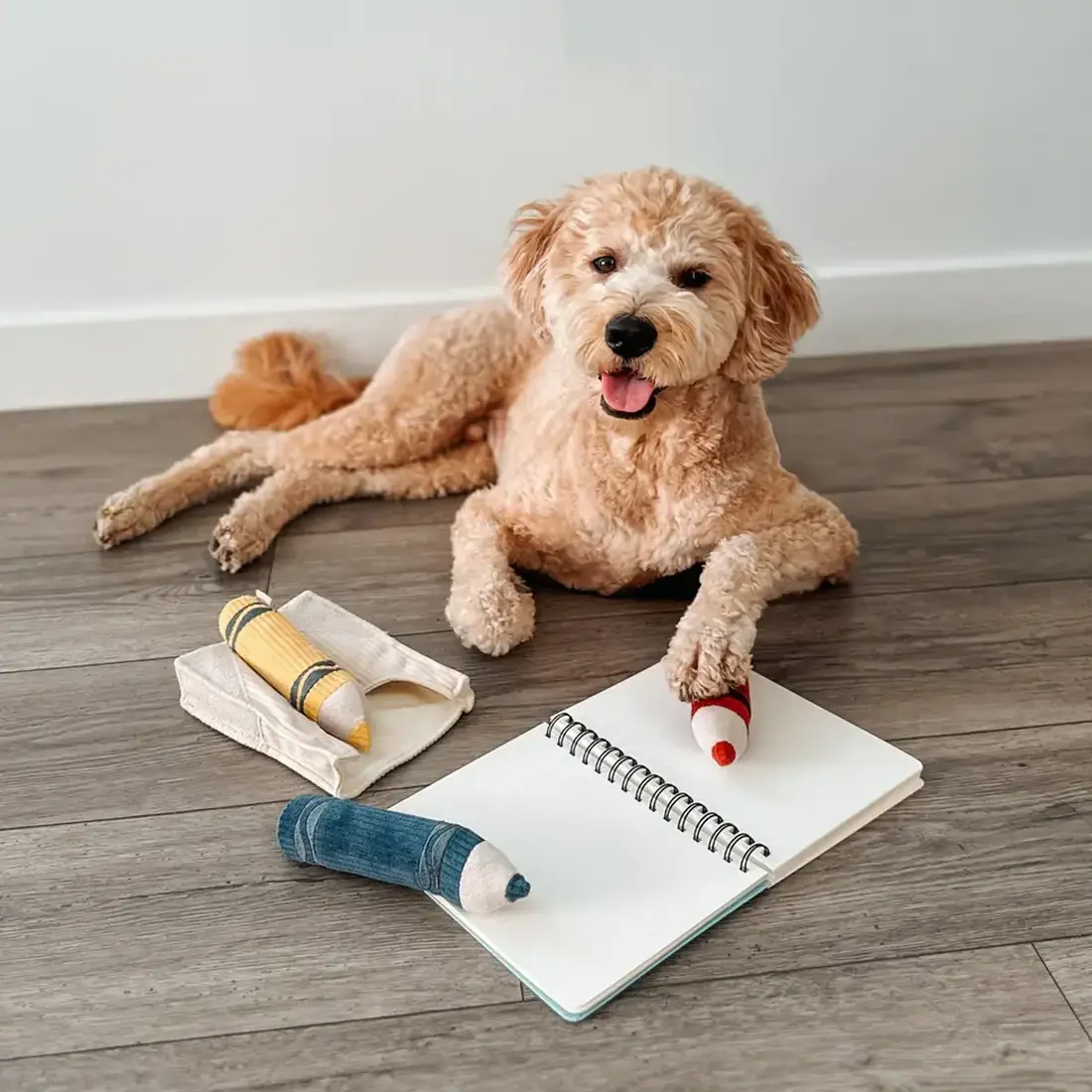 Lambwolf Collective – Crayons