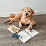 Lambwolf Collective – Crayons