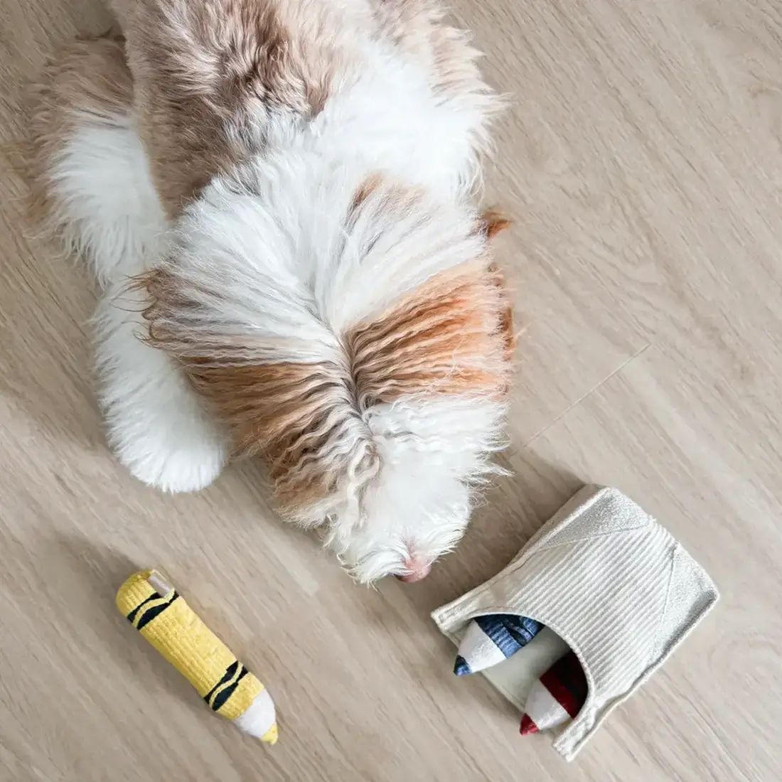 Lambwolf Collective – Crayons