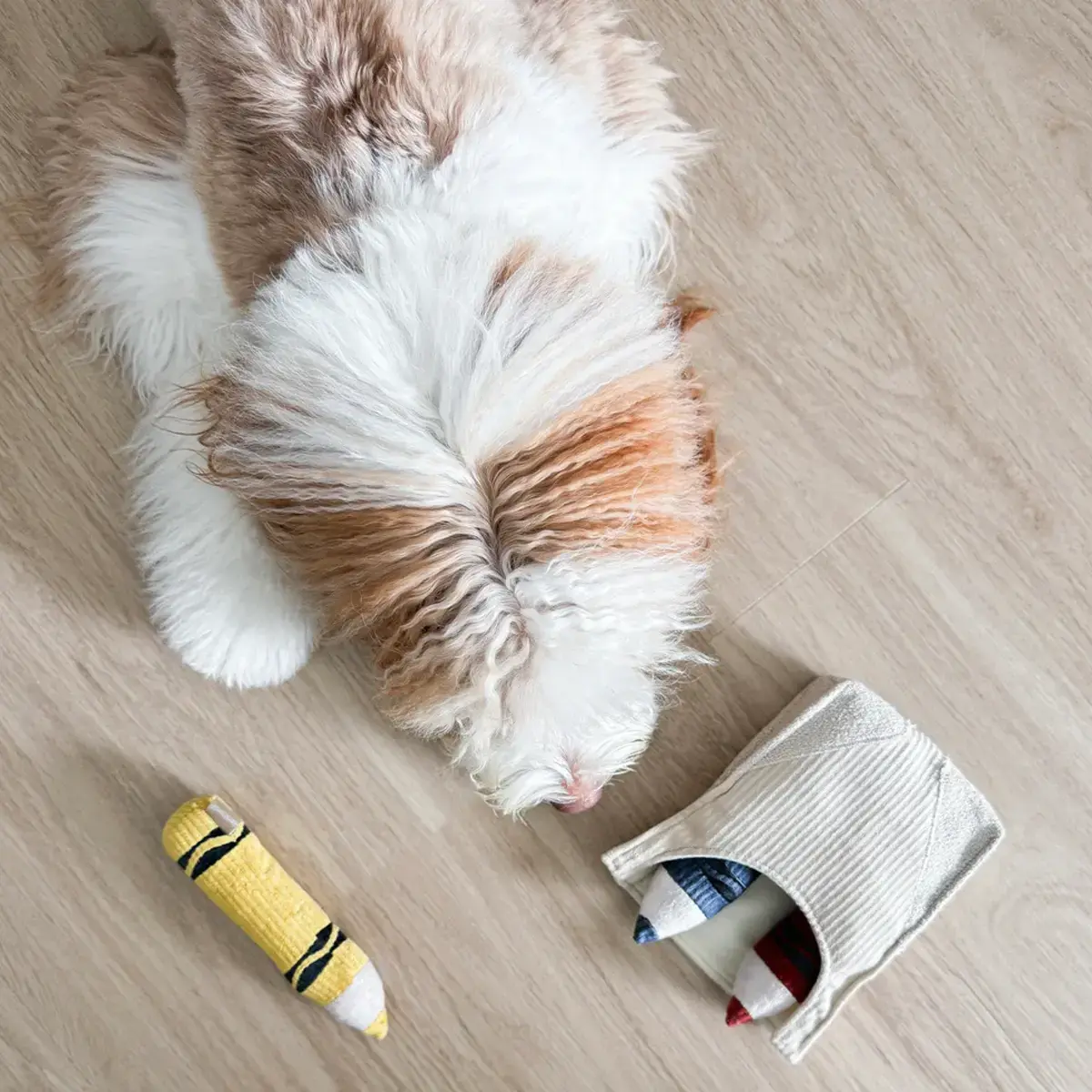 Lambwolf Collective – Crayons