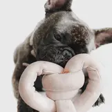 Lambwolf Collective – Nounou Pink