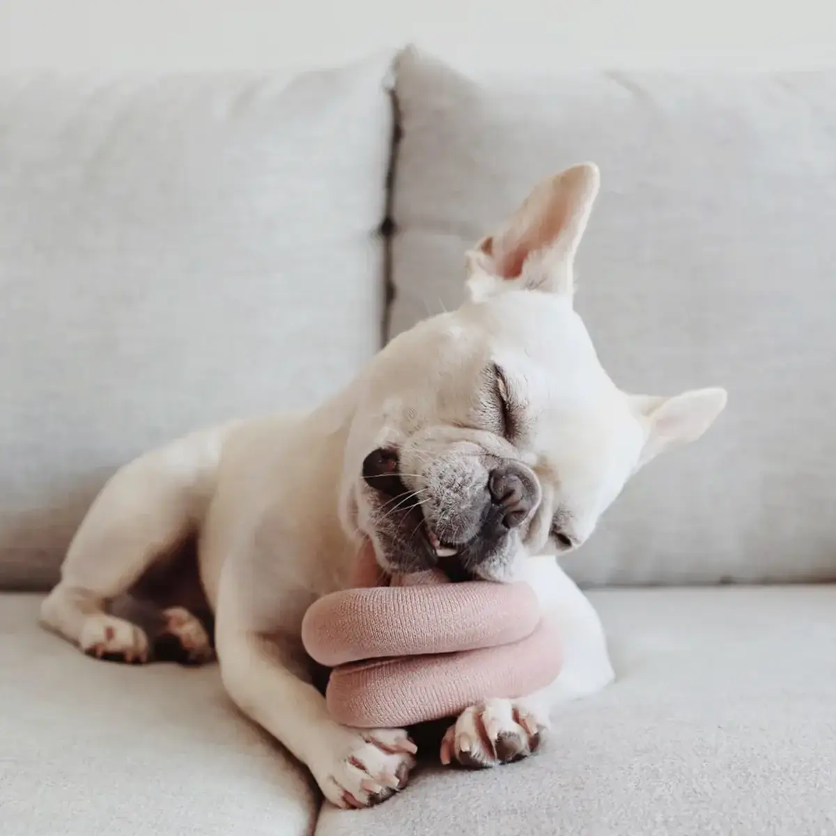 Lambwolf Collective – Nounou Pink