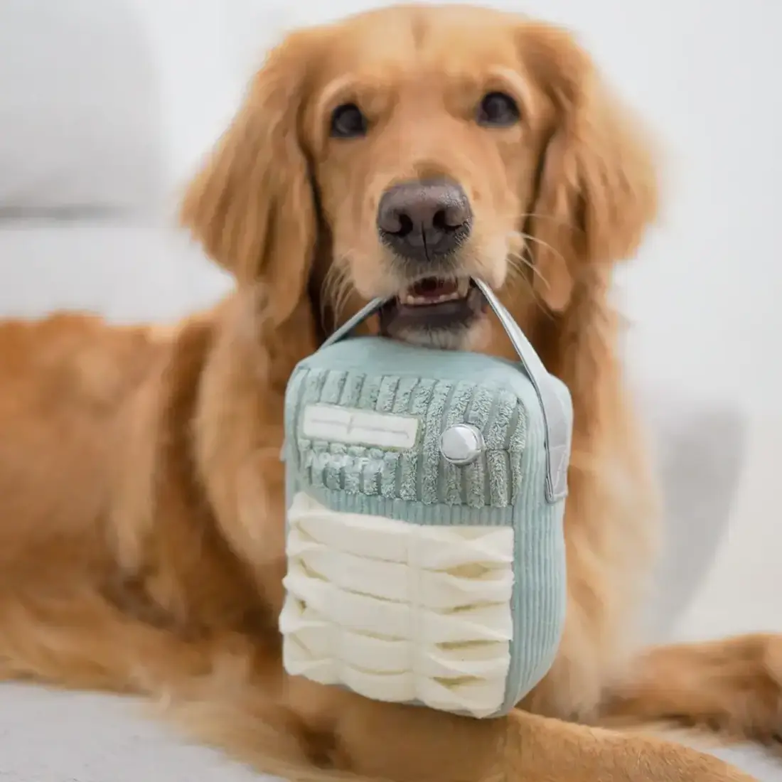 Lambwolf Collective – Woof FM