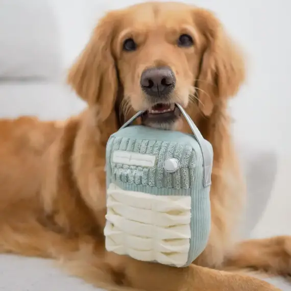 Draagbare Opvouwbare Snuffelmat Voor Middelgrote Kleine Honden Snuifmat Voermat Hond Hersenen Stimulerend Interactief Speelgoed Geschikt Voor Binnen Reizen Camping P