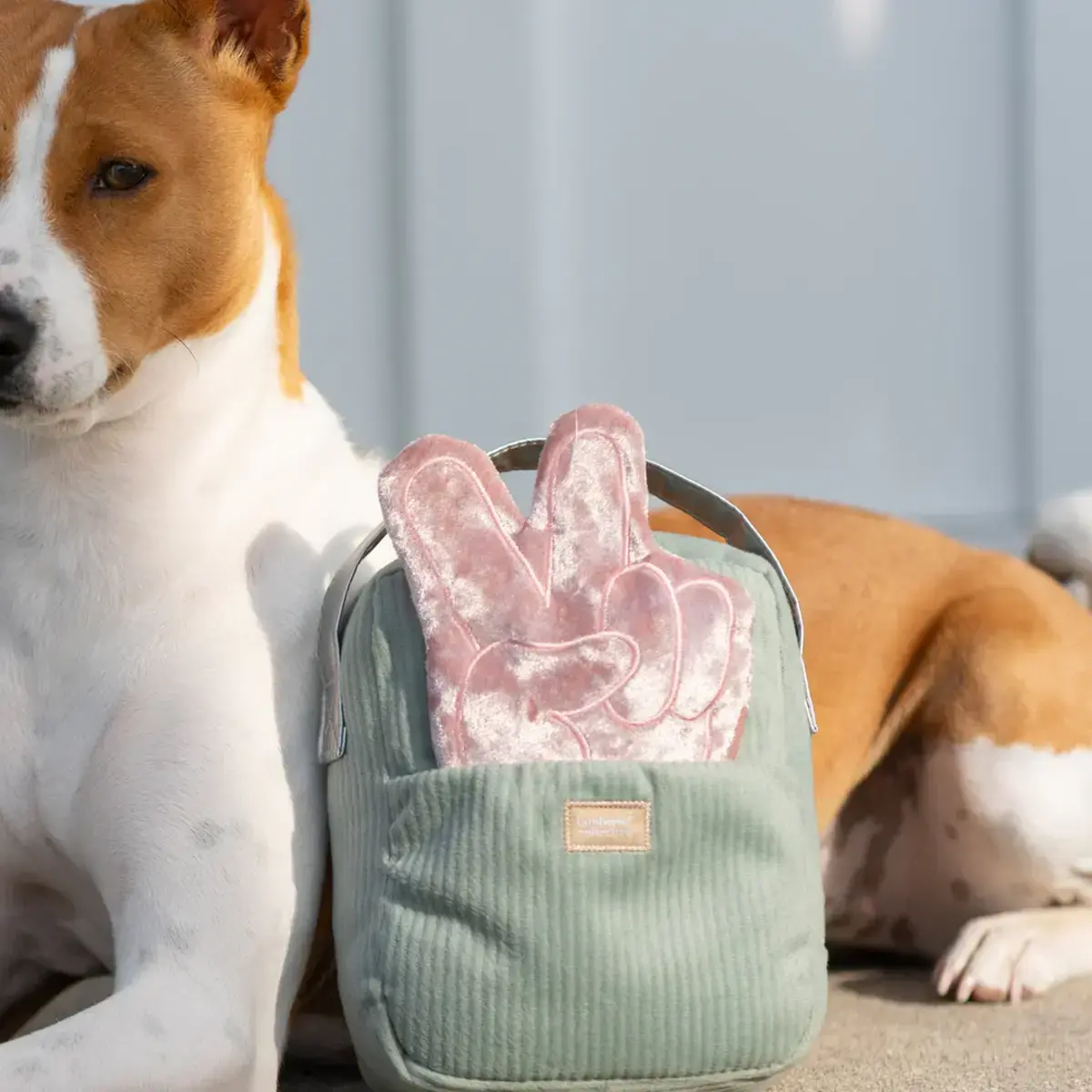 Lambwolf Collective – Woof FM