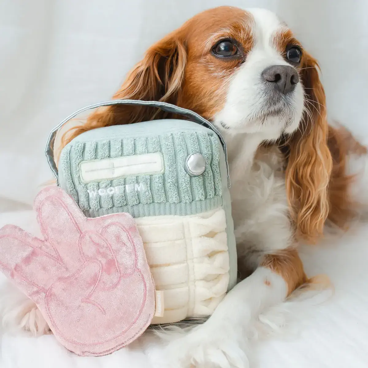 Lambwolf Collective – Woof FM