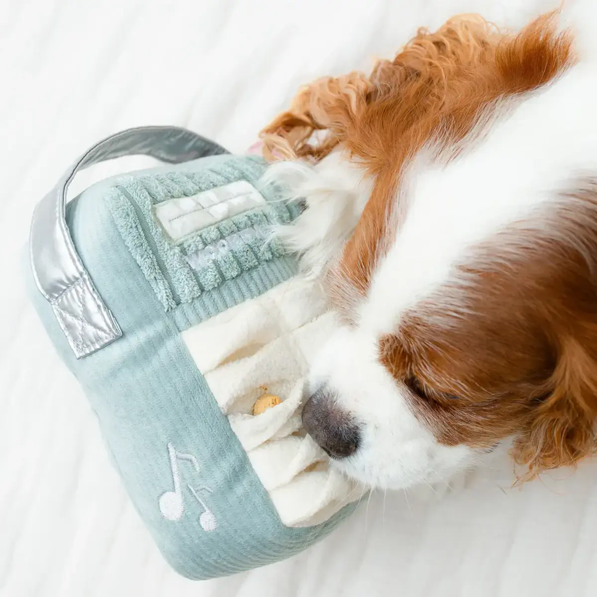 Lambwolf Collective – Woof FM