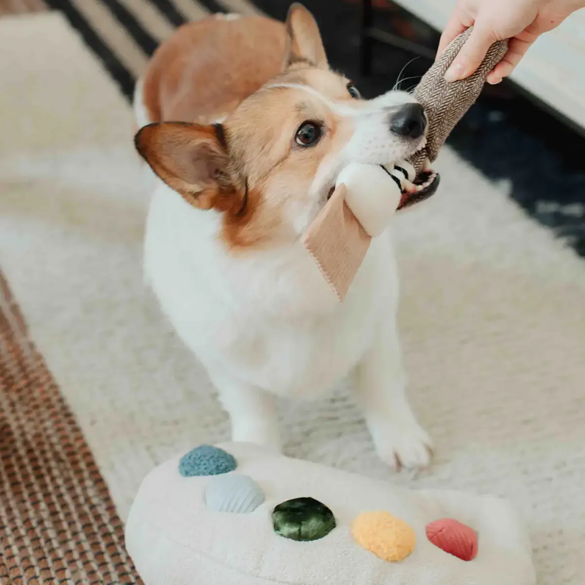 Lambwolf Collective – Color Palette Set