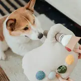 Lambwolf Collective – Color Palette Set