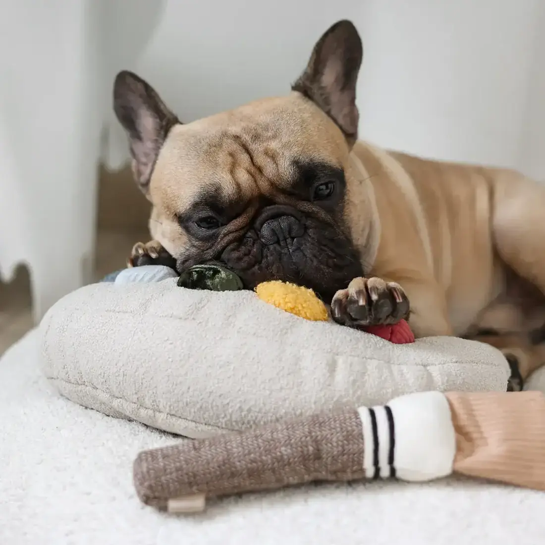 Lambwolf Collective – Color Palette Set