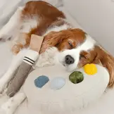 Lambwolf Collective – Color Palette Set