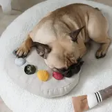 Lambwolf Collective – Color Palette Set