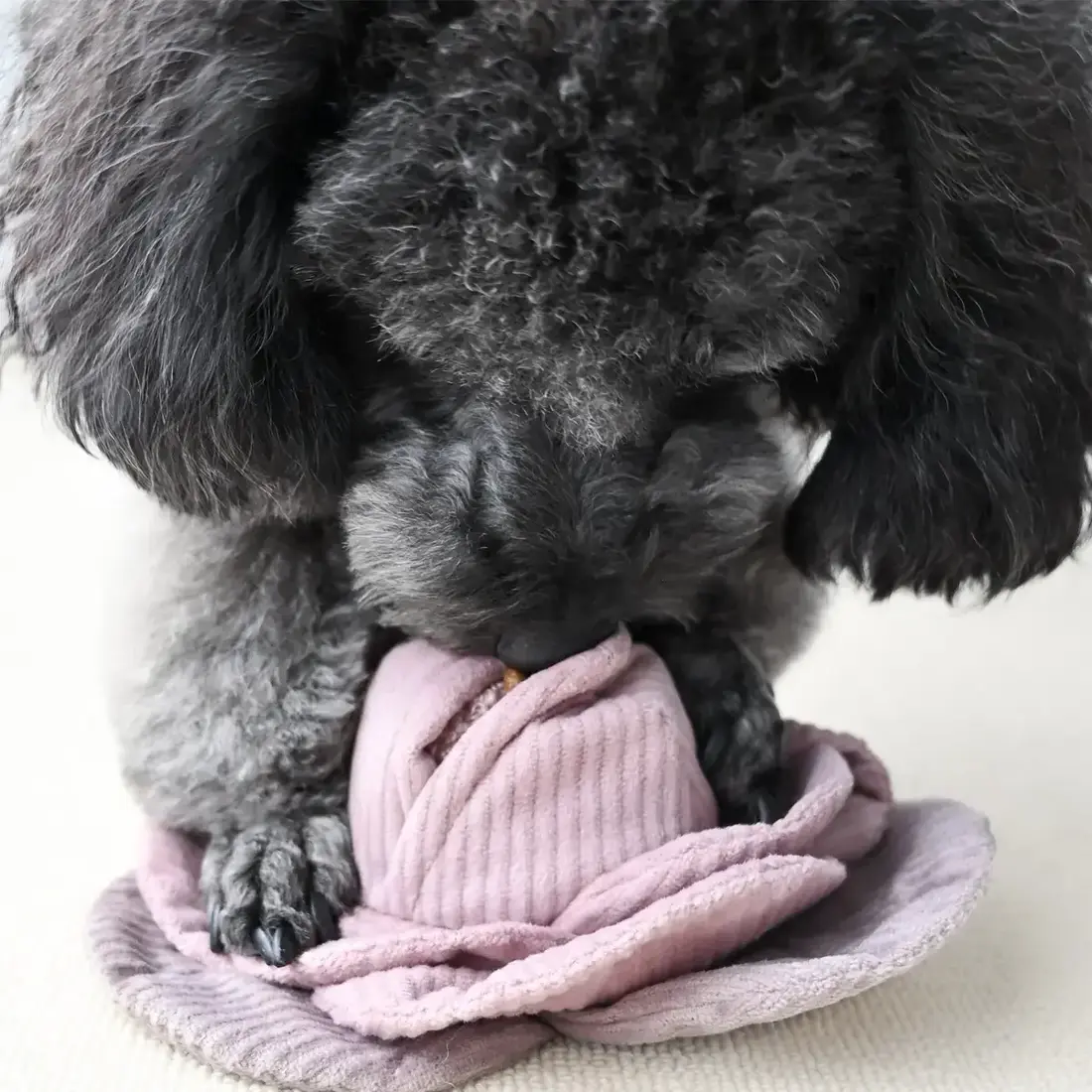 Lambwolf Collective – Cabbage Pop