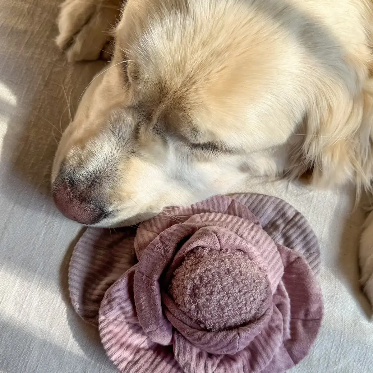 Lambwolf Collective – Cabbage Pop