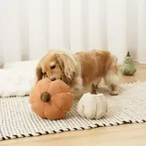 Lambwolf Collective – Cinderella