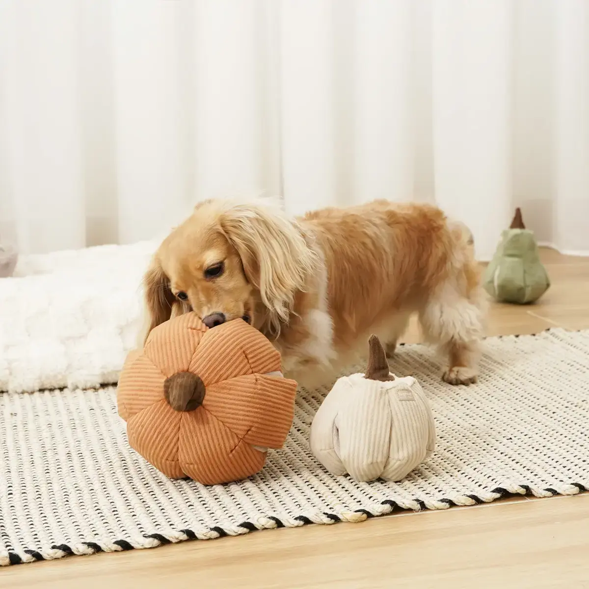 Lambwolf Collective – Cinderella