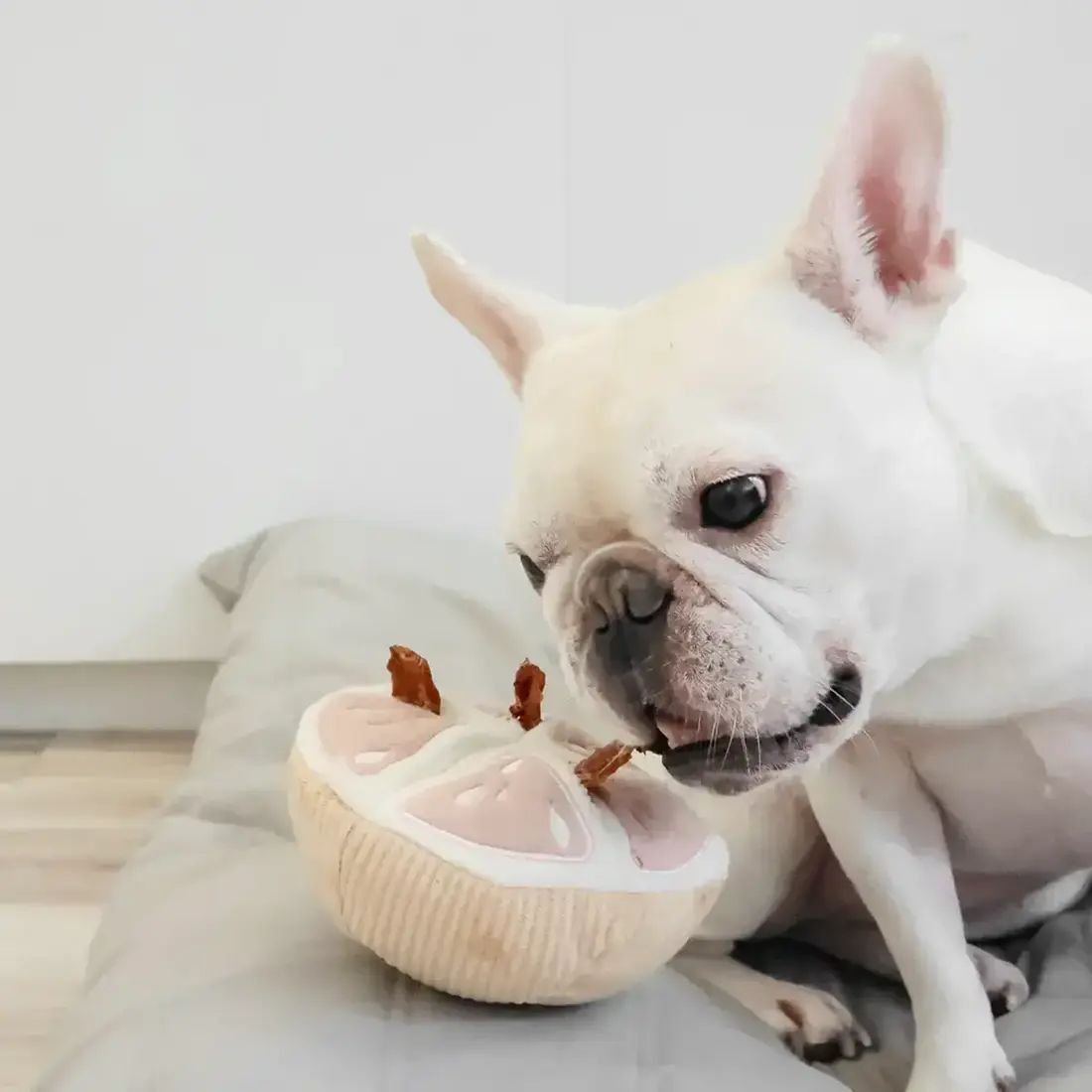 Lambwolf Collective – Grapefruit