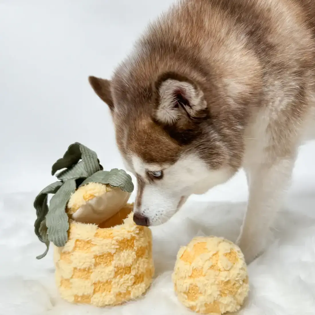 Lambwolf Collective – Pineapple