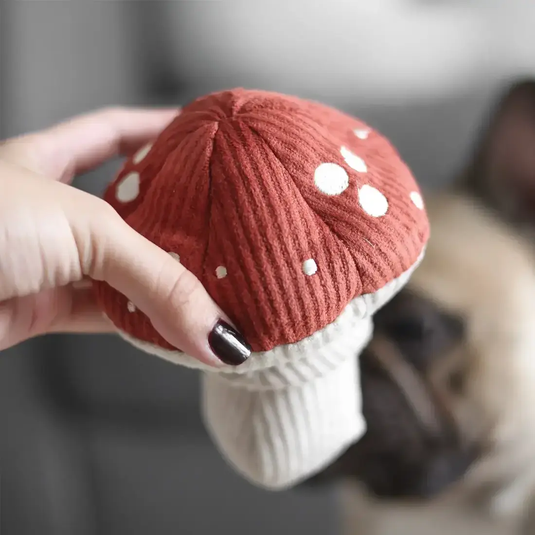 Lambwolf Collective – Shroom