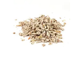 Hollandse Garnaaltjes