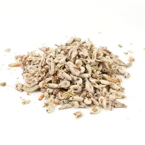 Hollandse Garnaaltjes