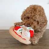 Pups & Bubs Pepperoni Pizza Snuffle Mat