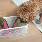 Pups & Bubs Snuffle Swiss Chard Nosework Toy