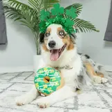 Huxley & Kent Lulubelles Shamrock Donut