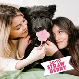 Smoofl Mix voor Hondenijs – Aardbei