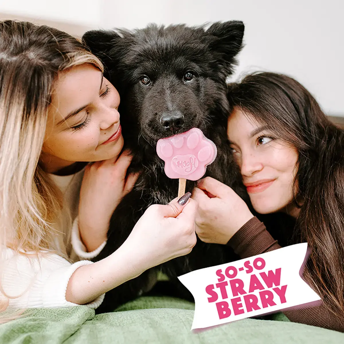 Smoofl Mix voor Hondenijs – Aardbei