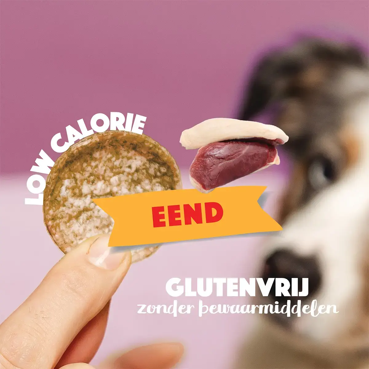 Smoofl Hondenchips - Eend