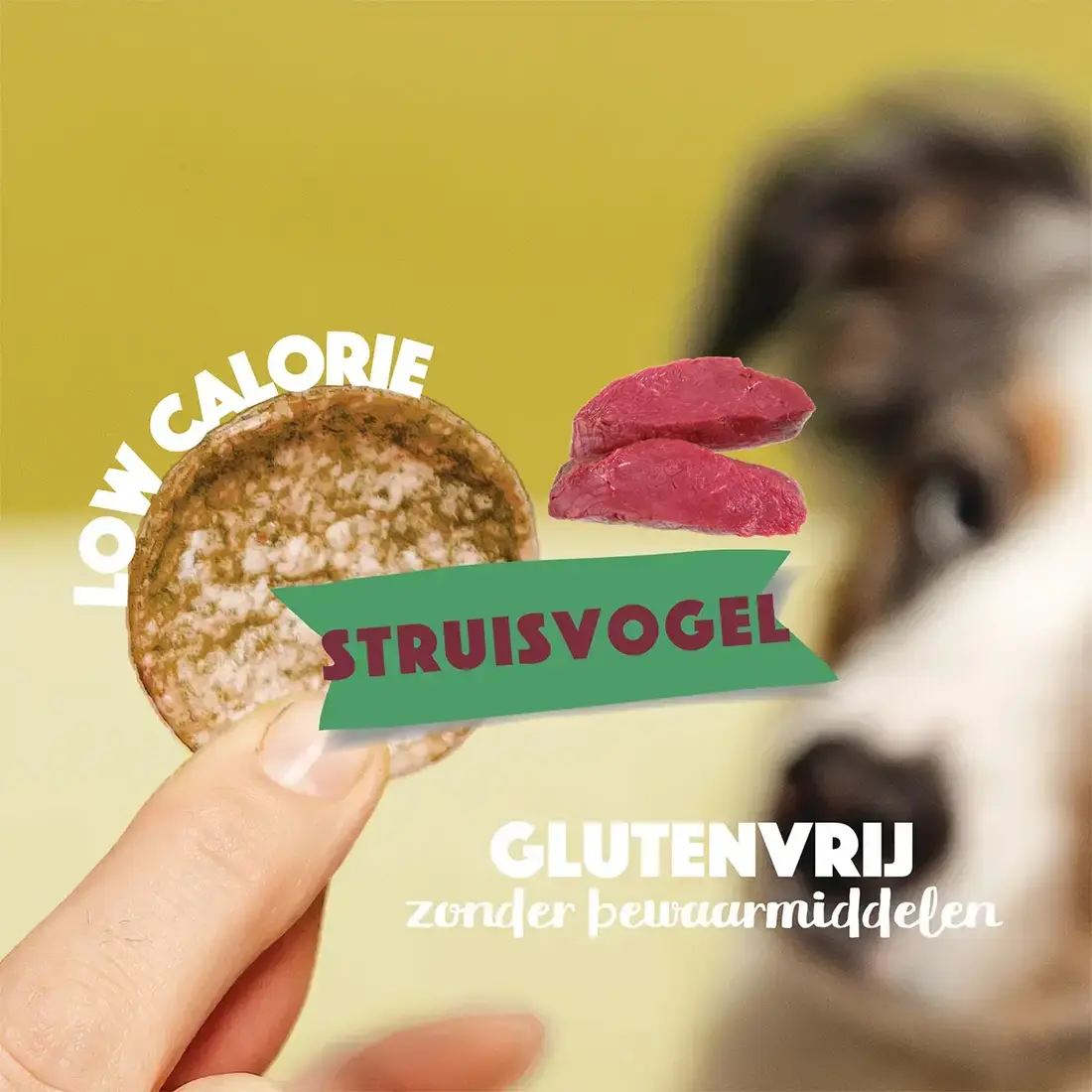 Smoofl Hondenchips - Struisvogel