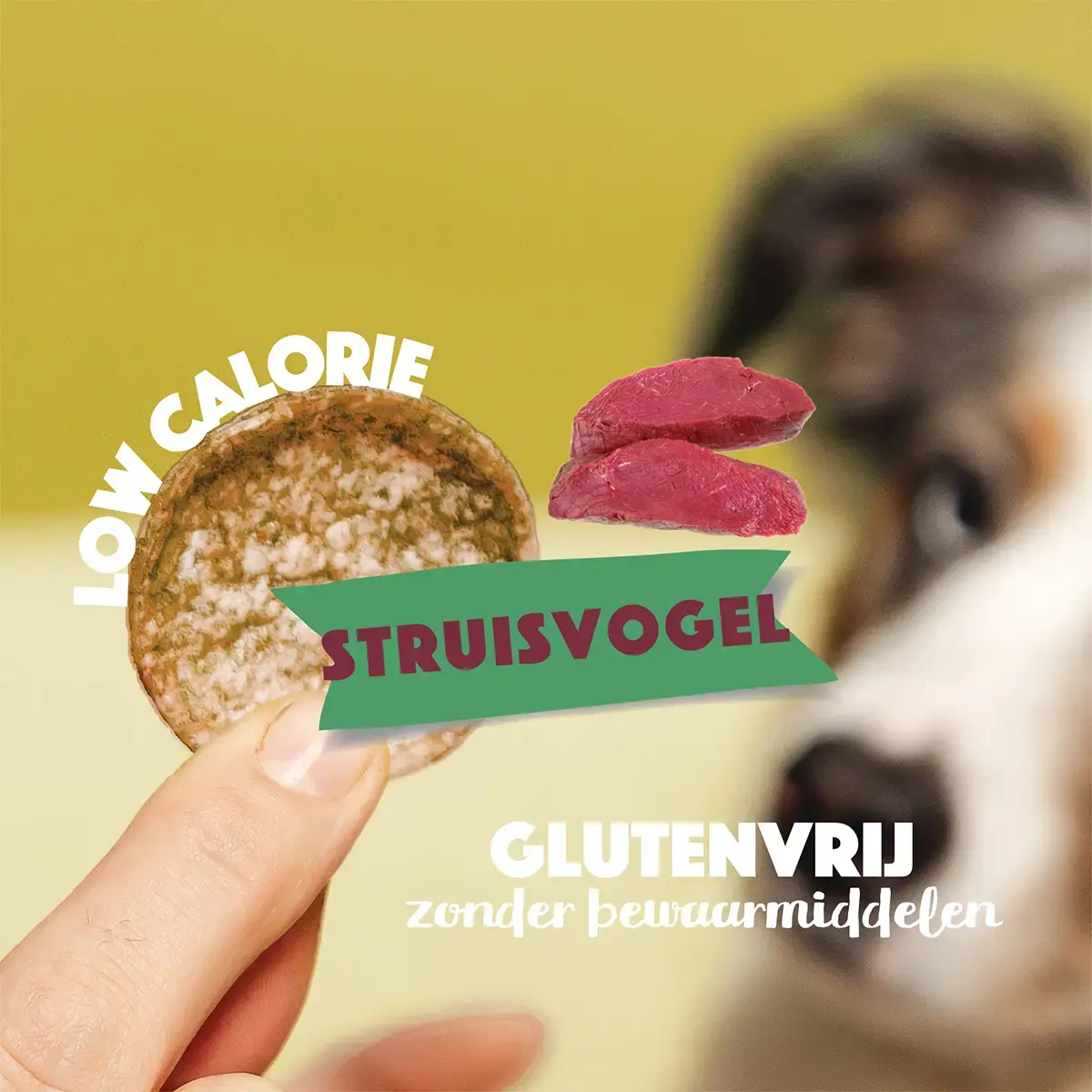 Smoofl Hondenchips - Struisvogel