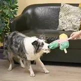 HugSmart Beach Daze – Twin Pop