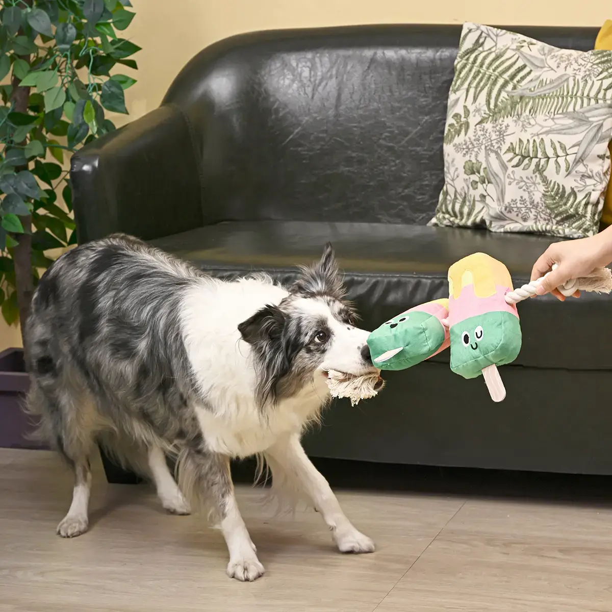 HugSmart Beach Daze – Twin Pop