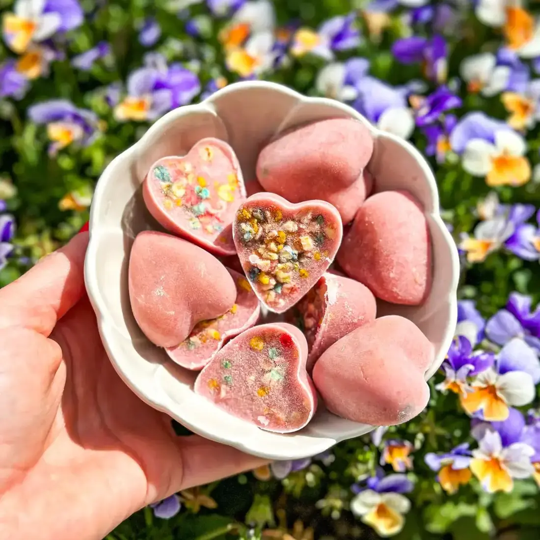 Cooka’s Cookies Ice Cream Mix – Chicken & Berries