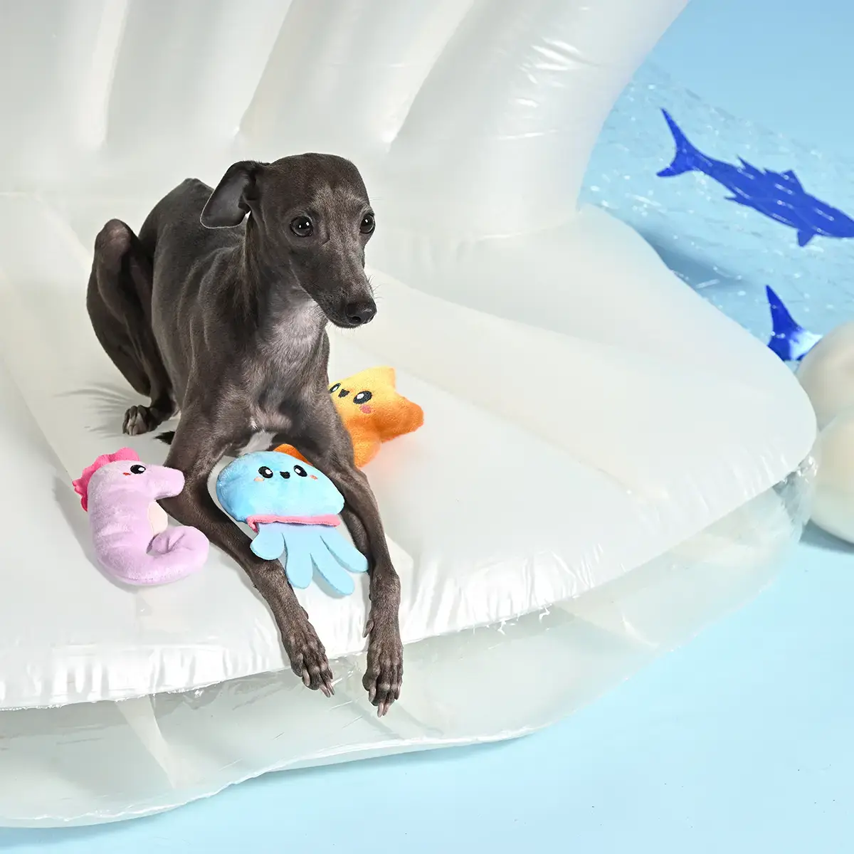HugSmart Ocean Pals – Aqua Friends