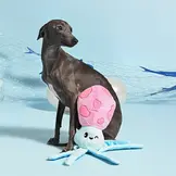 HugSmart Ocean Pals – Squid