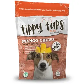 Tippy Taps Fruit Snack Mango