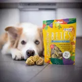 Smoothiedog Bites Kip