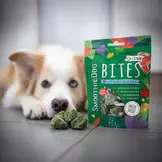 Smoothiedog Bites Lam