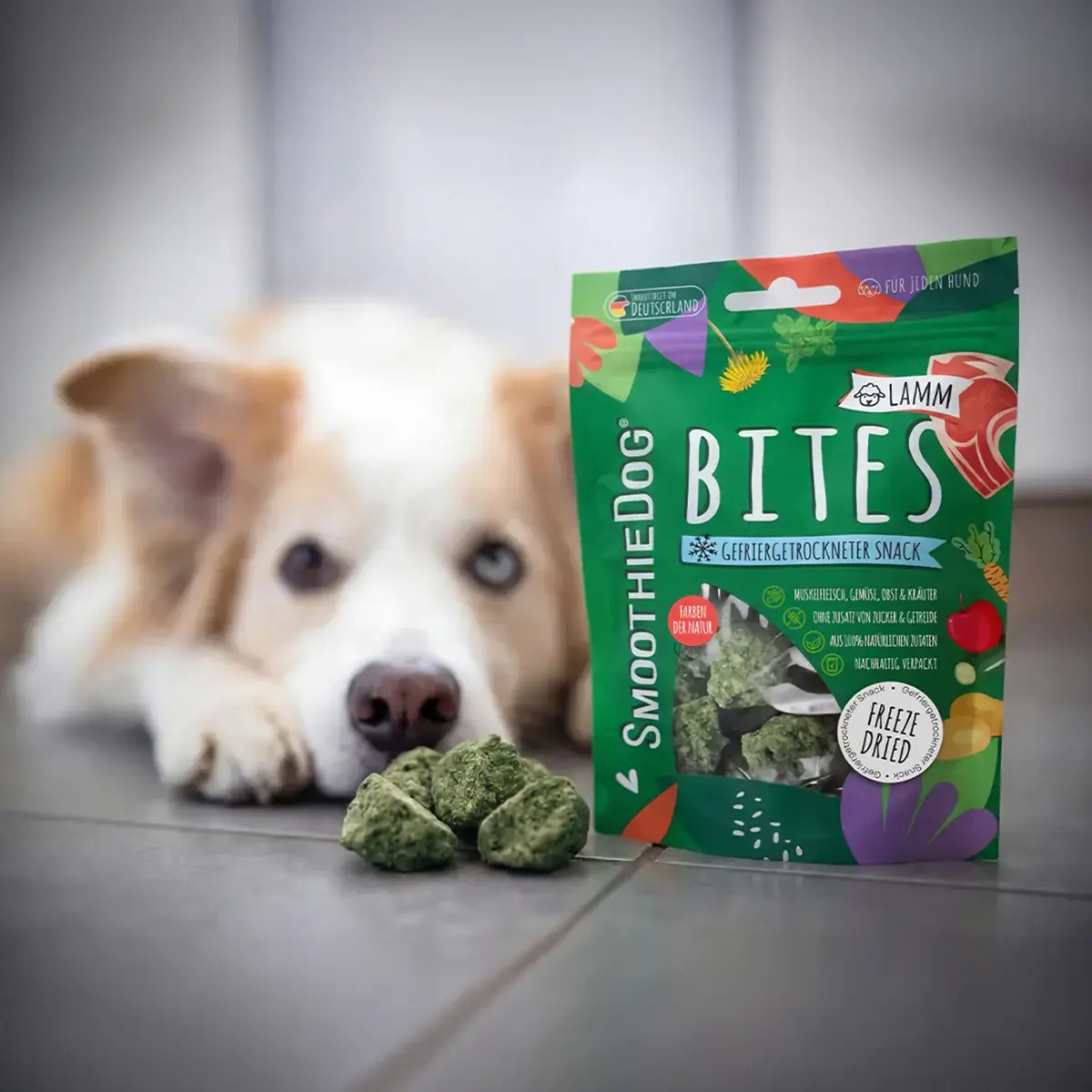 Smoothiedog Bites Lam